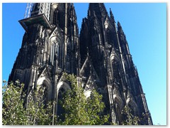 IMG_0595